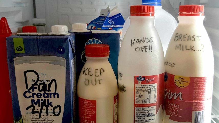 Bottles of milk with KEEP OUT, HANDS OFF AND BREAST MILK? written on them