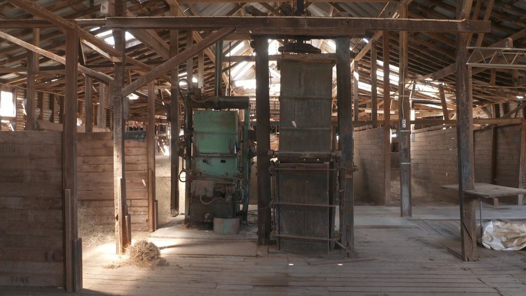 Preserving a Legend: Community effort to save one of Australia's ...