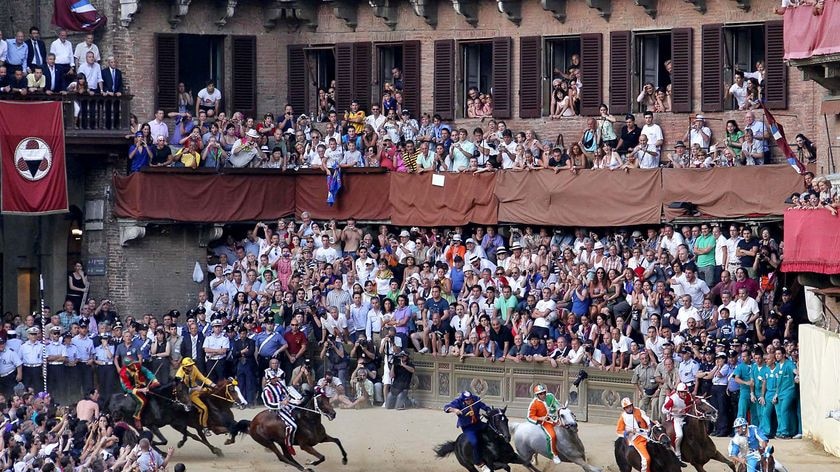 Cruelty concerns: jockeys compete in the Palio horse races in Siena, northern Italy