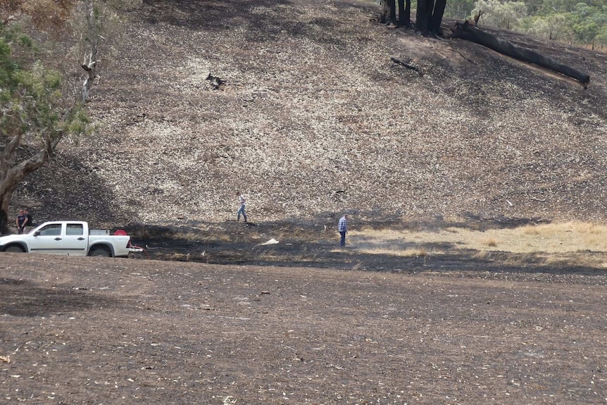 A ute in a scorched paddock in the Adelaide Hills.