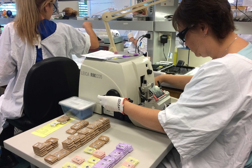 Scientists putting tissue onto a slide in a hospital laboratory.