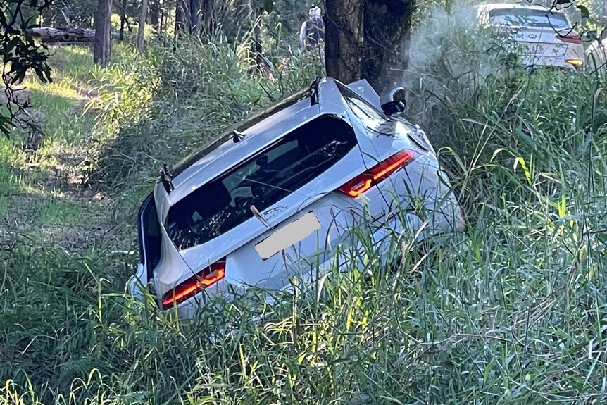 White SUV crashed into tree