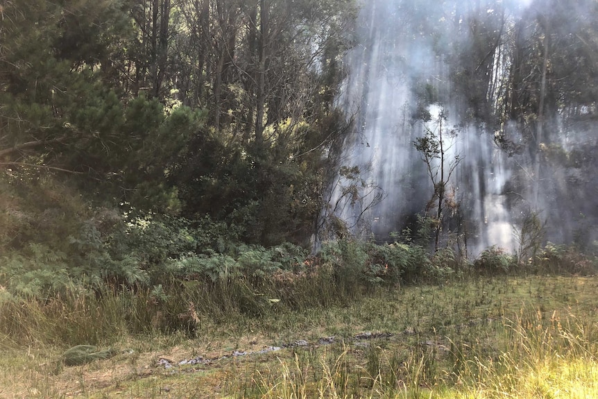 Backburning at Geeveston.