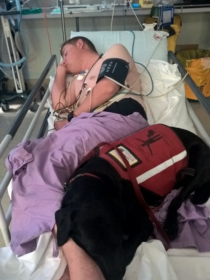 Lachlan Miles and his seizure dog Sharni lay asleep in an emergency bed.