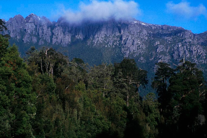 mountain peak rising above temperate rainforest, capped with light cloud