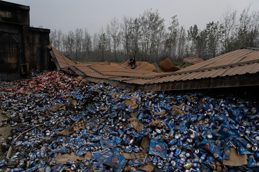 Blue and red soft drink cans litter the ground of a burnt out store. Burnt trees stand in the background.