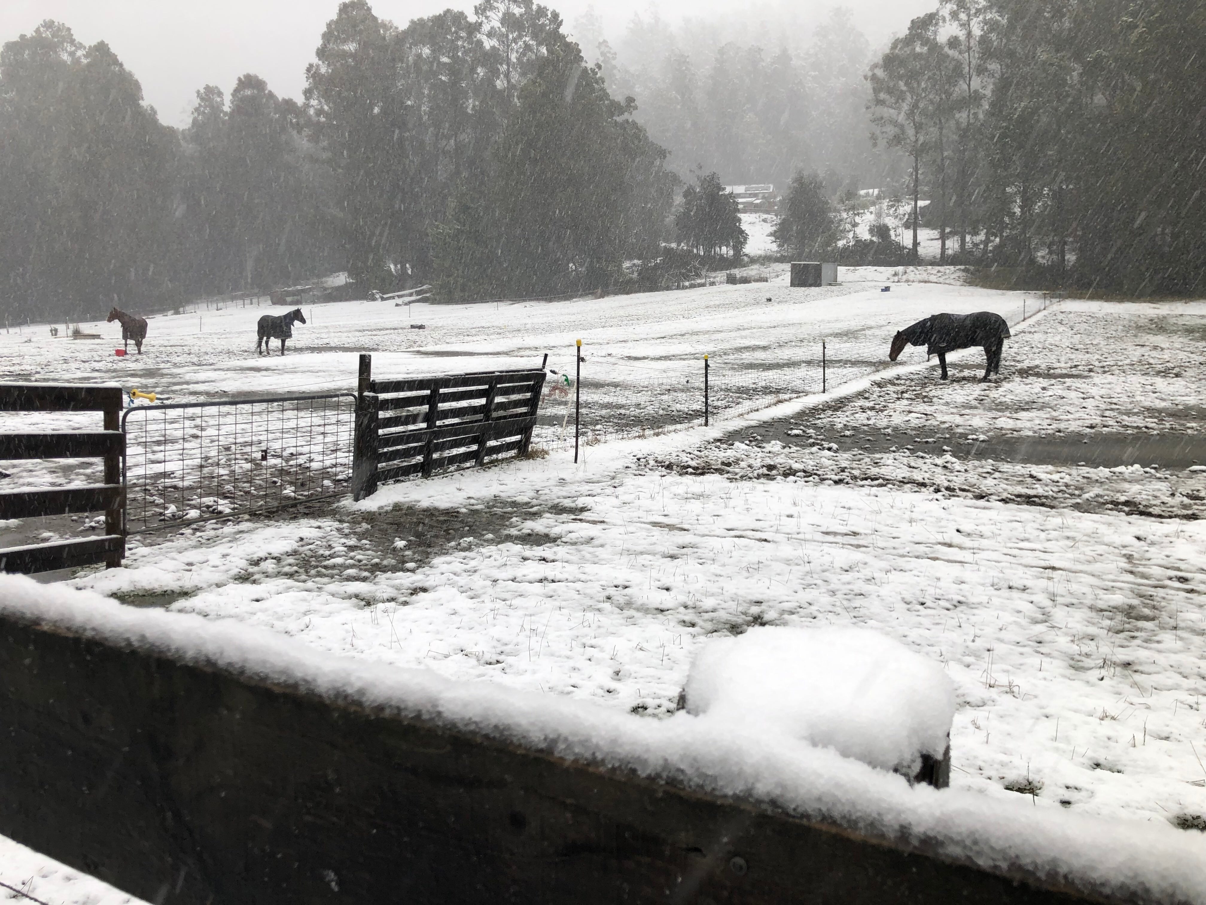 Hobart wakes to lowaltitude snow as 'vigorous cold front' hits