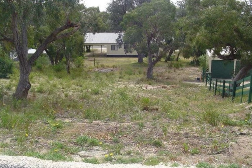 A bushy property lot with a white cottage in the background.