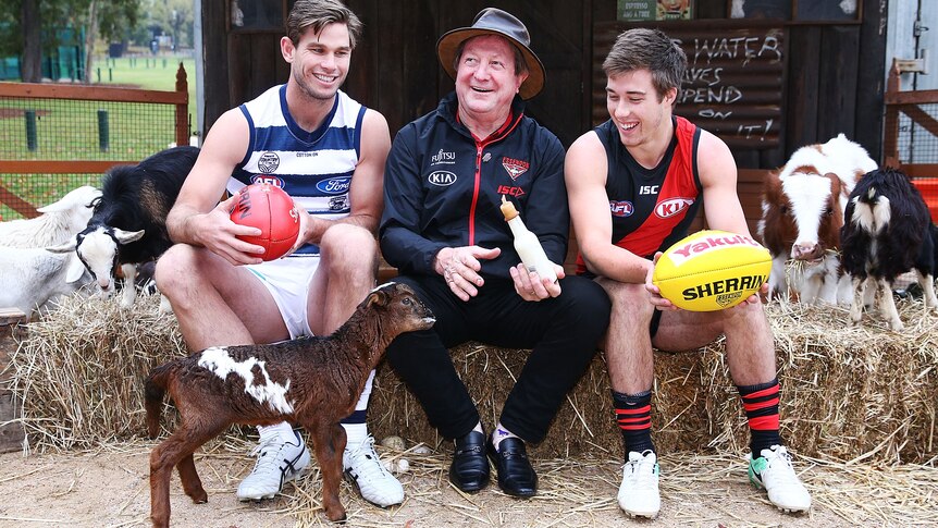 Tom Hawkins of Geelong sits with Kevin Sheedy and Zach Merrett of Essendon on hay bales surrounded by farm animals.
