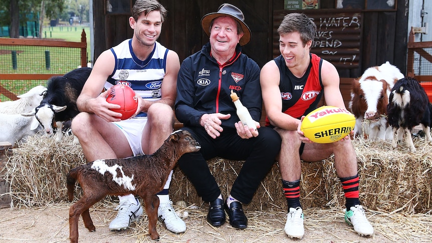 Tom Hawkins of Geelong sits with Kevin Sheedy and Zach Merrett of Essendon on hay bales surrounded by farm animals.