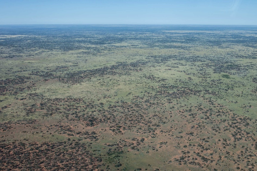 Aerial view of an arid desert landscape from a charter flight over remote WA.
