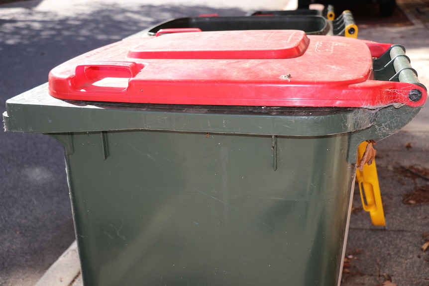 A generic photo of rubbish bins