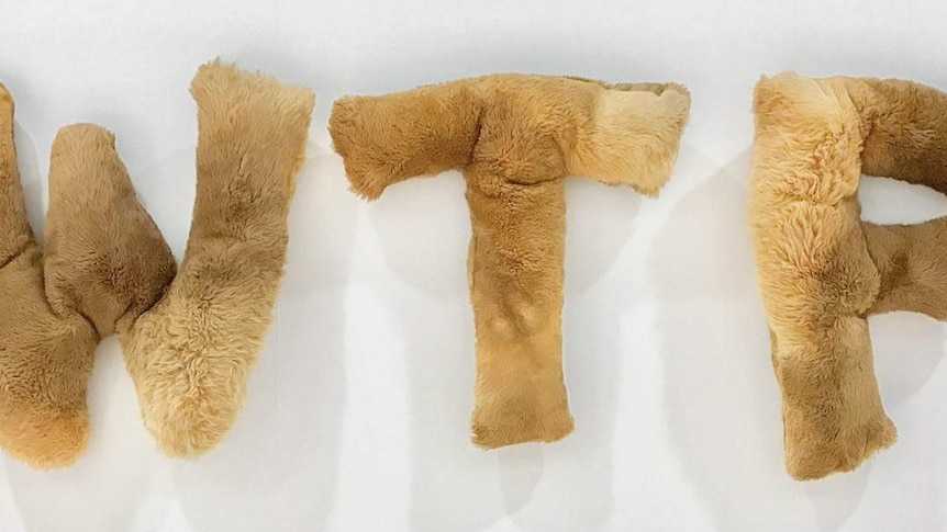 the letters W T F made from light brown kangaroo fur