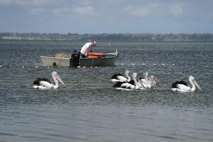 Photo of Damien Bell fishing with his son Alex Bell.