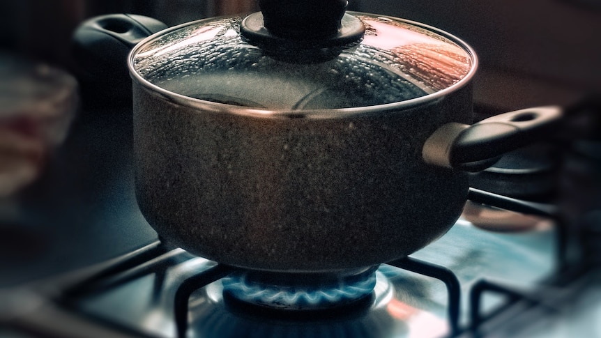A glass-lid saucepan sits on a gas cooktop