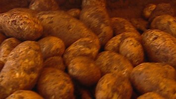 Tough times, say potato growers