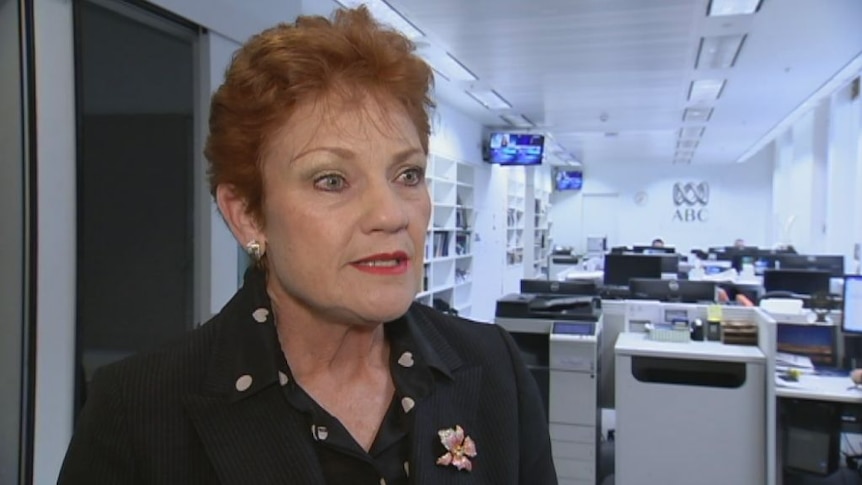 Pauline Hanson says she's "thrilled" by the election of Donald Trump