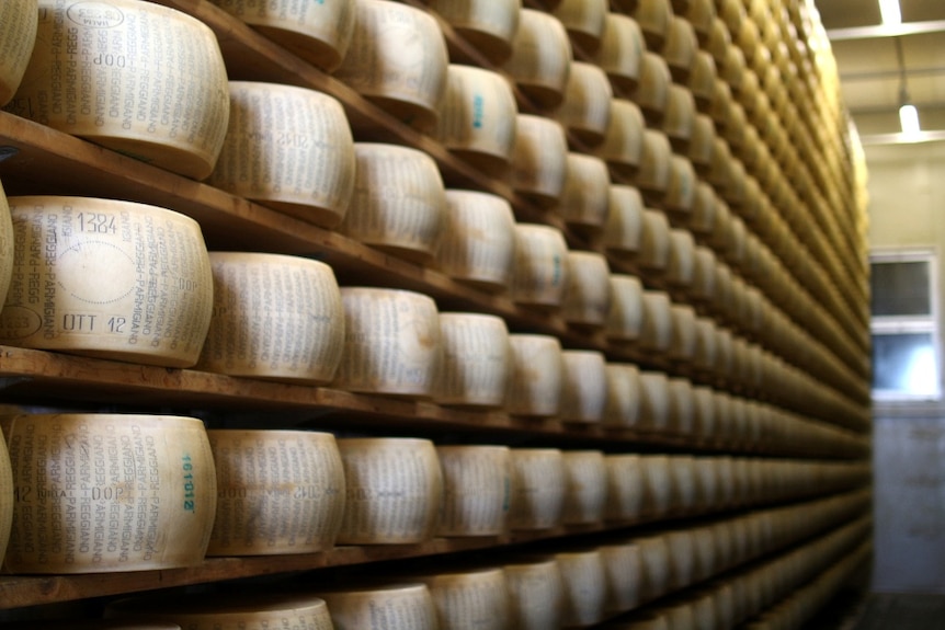 Wooden shelves stacked floor to ceiling with wheels of cheese