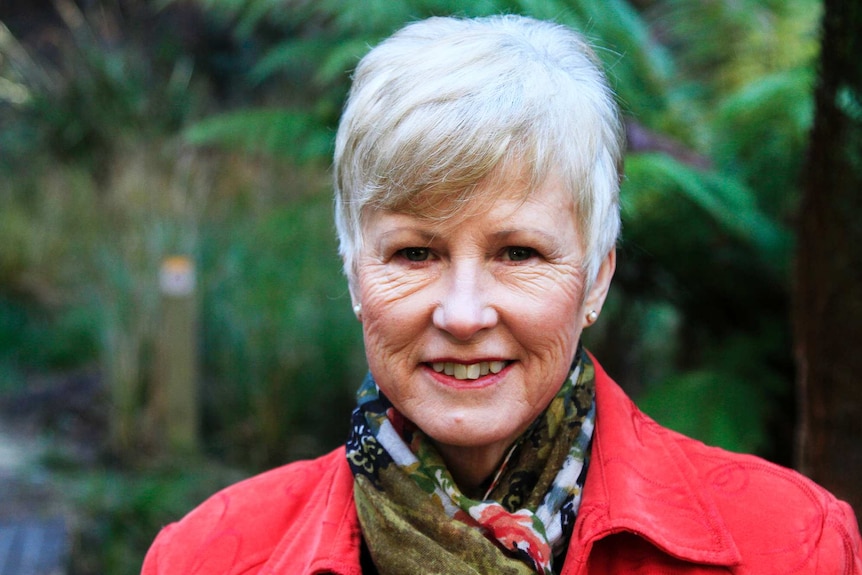 Former Tasmanian Greens leader Christine Milne.