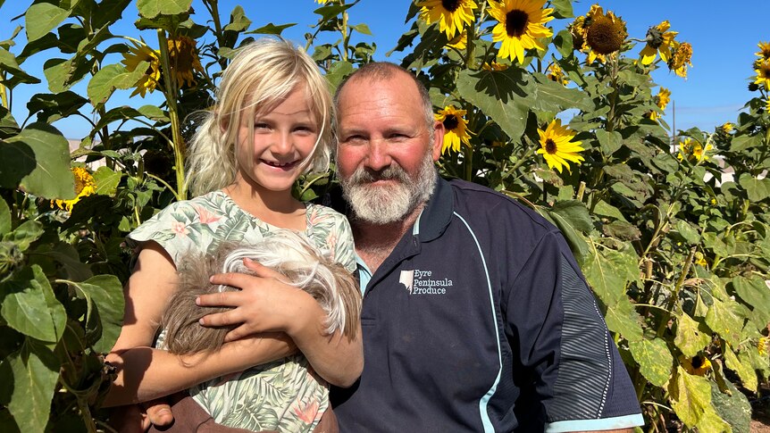 Father and daughter with her guinea pig in front of sunflowers.