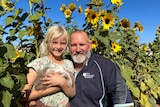 Father and daughter with her guinea pig in front of sunflowers.