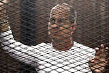 Al-Jazeera journalist Peter Greste