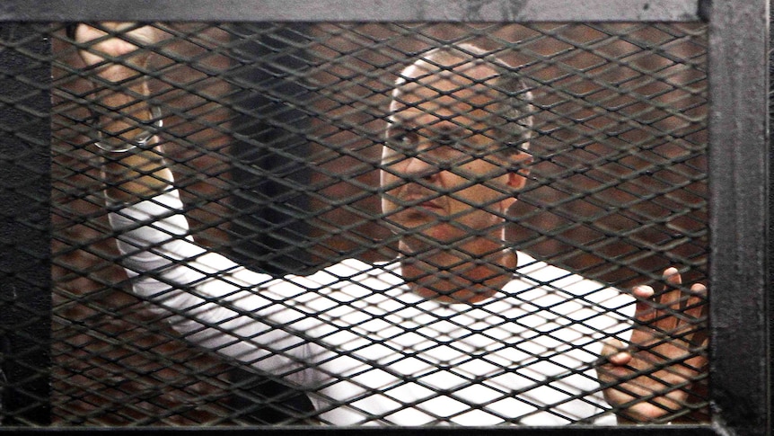 Al-Jazeera journalist Peter Greste