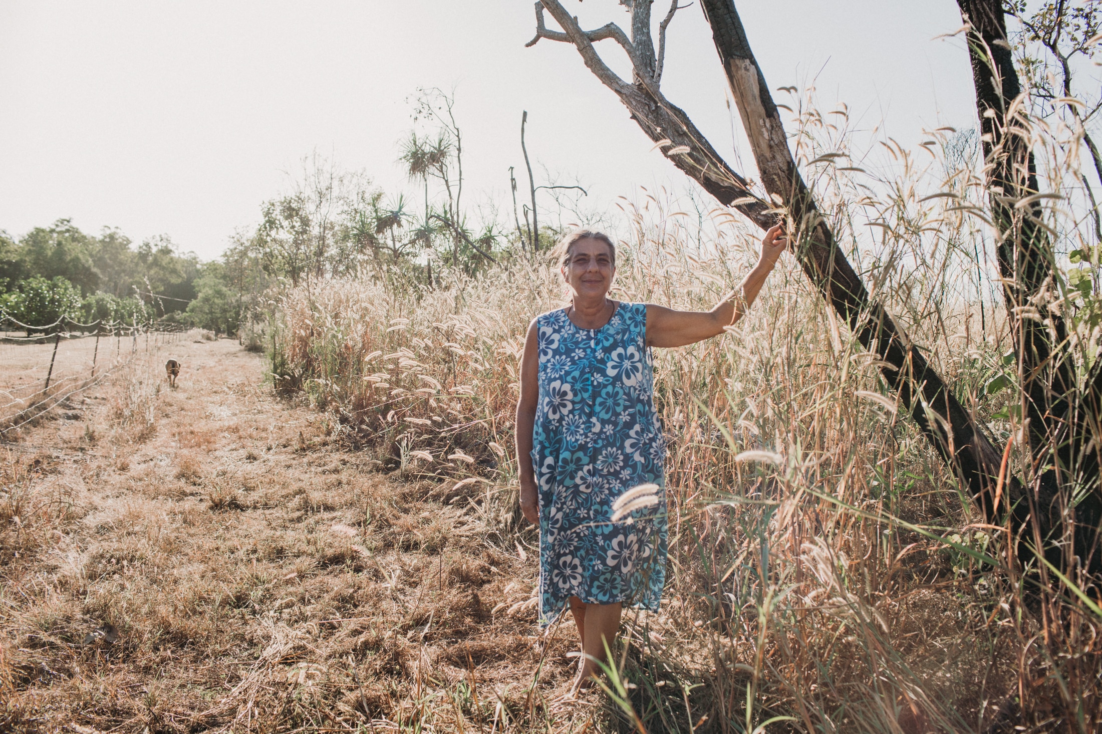 Uma mulher está ao lado de uma árvore cercada por grama seca.