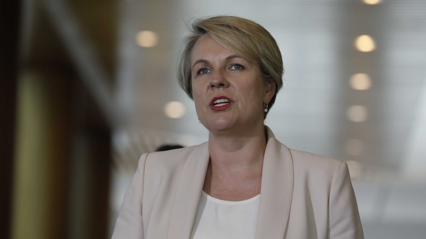 Tanya Plibersek in Parliament house