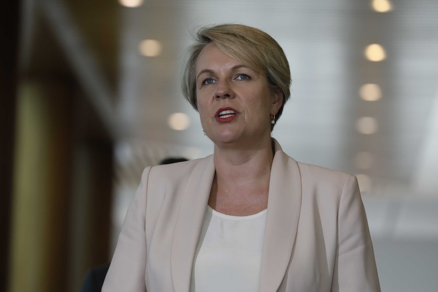 Tanya Plibersek in Parliament house.