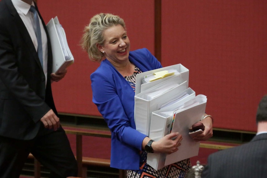 Bridget McKenzie laughs as she acts out struggling to carry five heavy binders of briefing notes