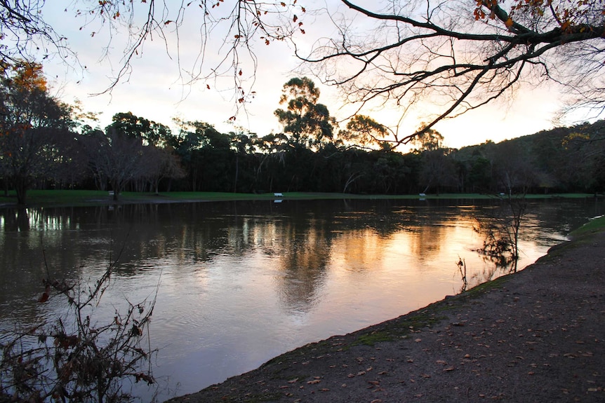 A wide river at sunset, with the bank on the right.