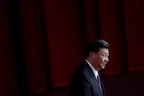 Xi Jinping profile