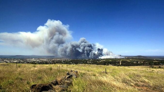 The blaze destroyed 280 hectares of land.