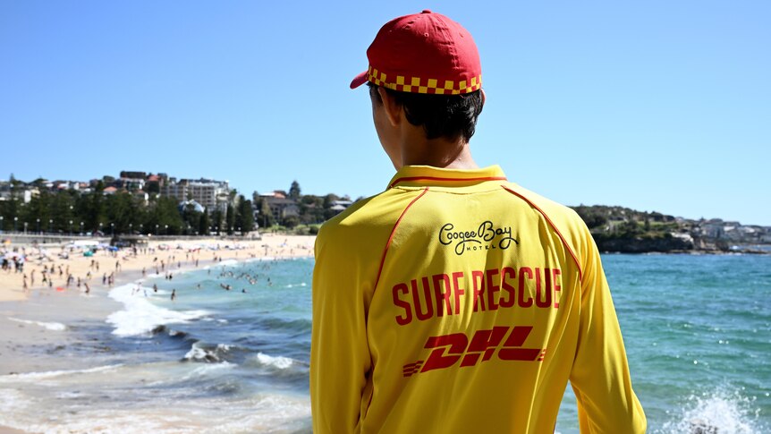a volunteer life saver looks out over coogee beach on a hot sydney day