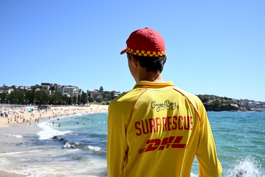 a volunteer life saver looks out over coogee beach on a hot sydney day