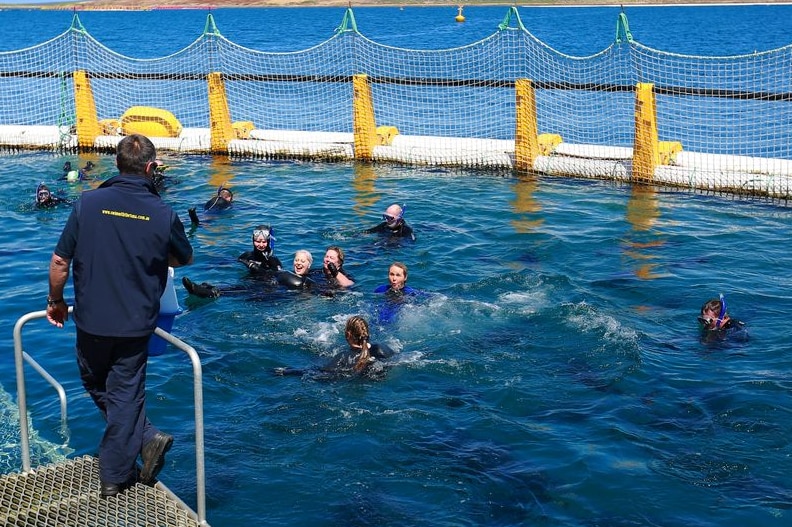 People snorkelling in the swim with tuna aquarium.