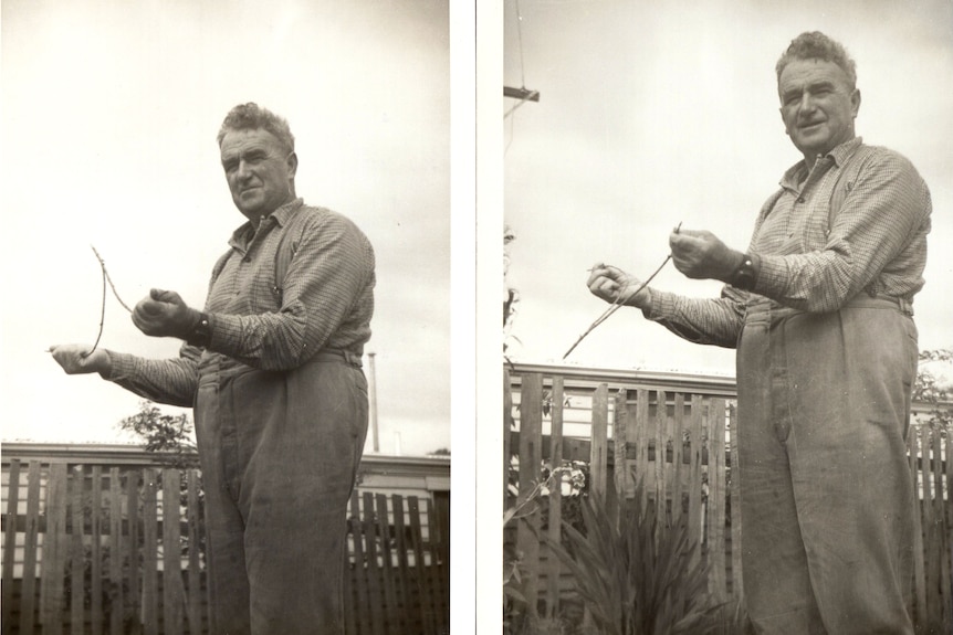 Mr Larkman of Toodyay demonstrating water divining in 1965.