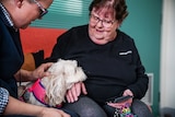 Two women sit on a couch looking at a small white dog seated in between them. 