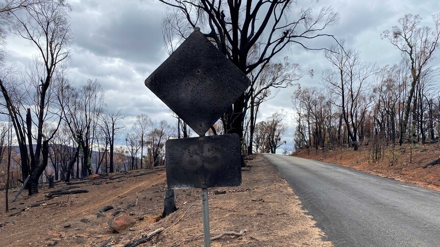 A burnt roadside speed sign surrounded by burnt trees.