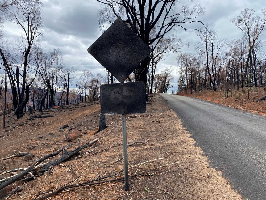 Un panneau de vitesse en bord de route brûlé entouré d'arbres brûlés.