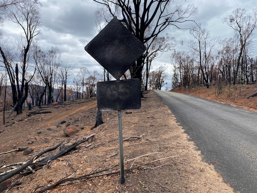 A burnt roadside speed sign surrounded by burnt trees.