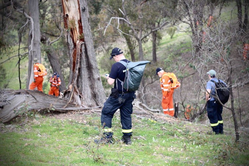 Emergency workers walking through the bush looking for evidence