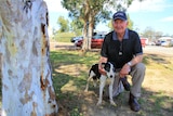A man kneels under a tree with his black and white border collie
