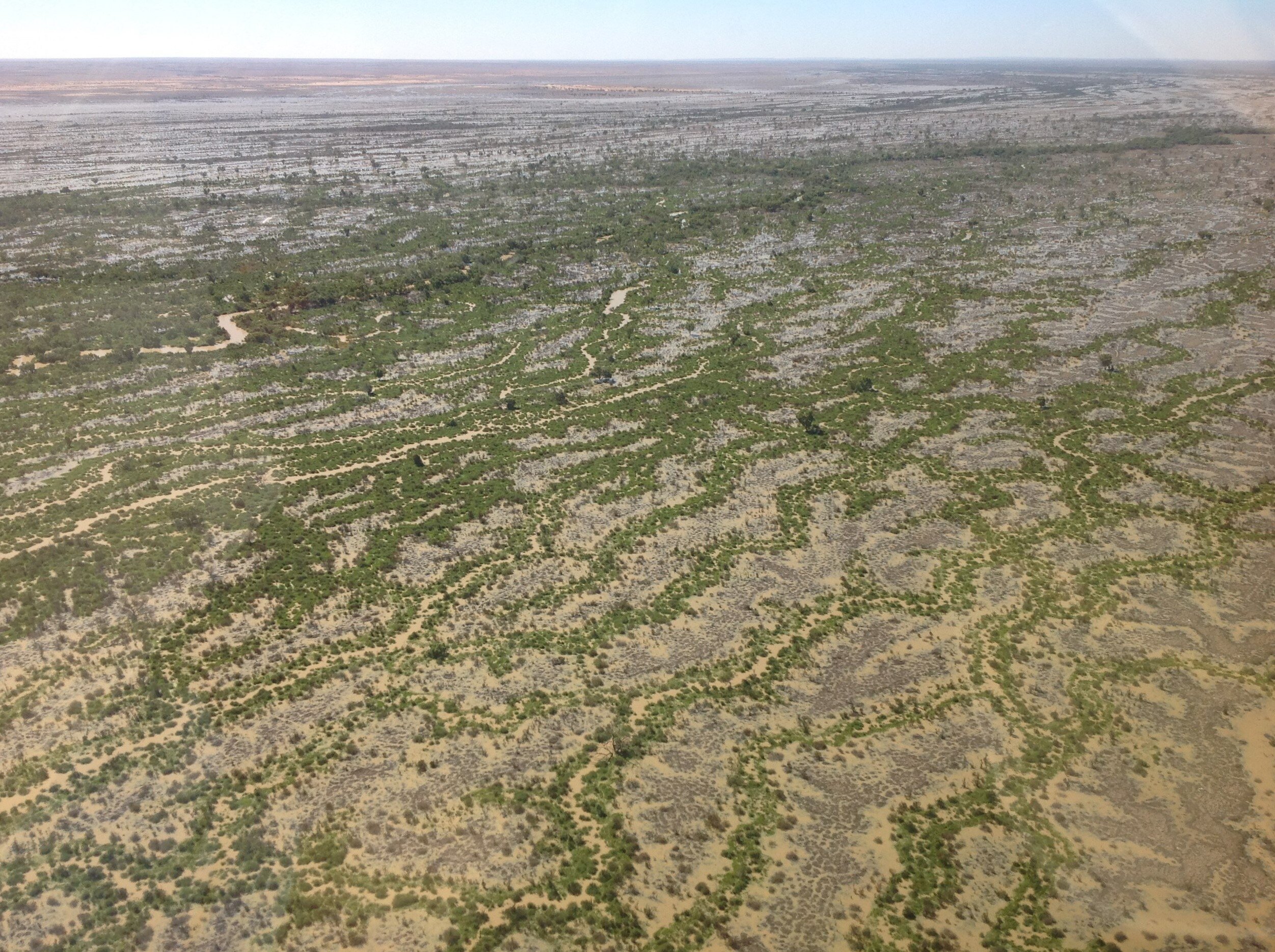 Water flooding through an outback creek way creates intrinsic patterns through a brown landscape and green growth emerges around