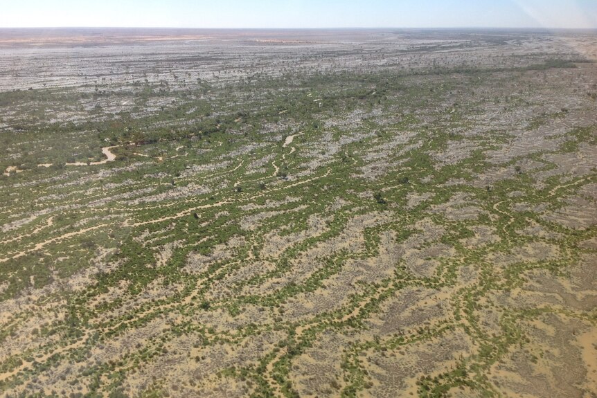 Water flooding through an outback creek way creates intrinsic patterns through a brown landscape and green growth emerges around
