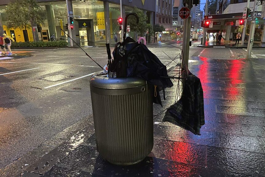 在悉尼大界上，垃圾桶里装满了坏雨伞。