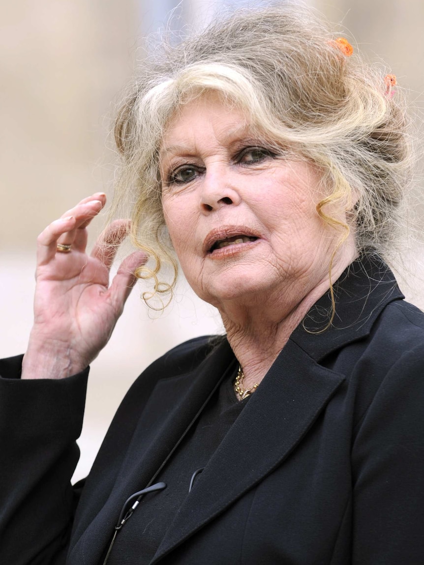 Brigitte Bardot at the Elysee Palace