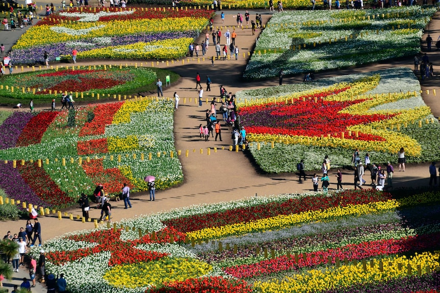 People walk through Floriade in Canberra, photo taken from the ferris wheel.