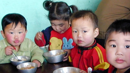 North Korea faces food aid issues